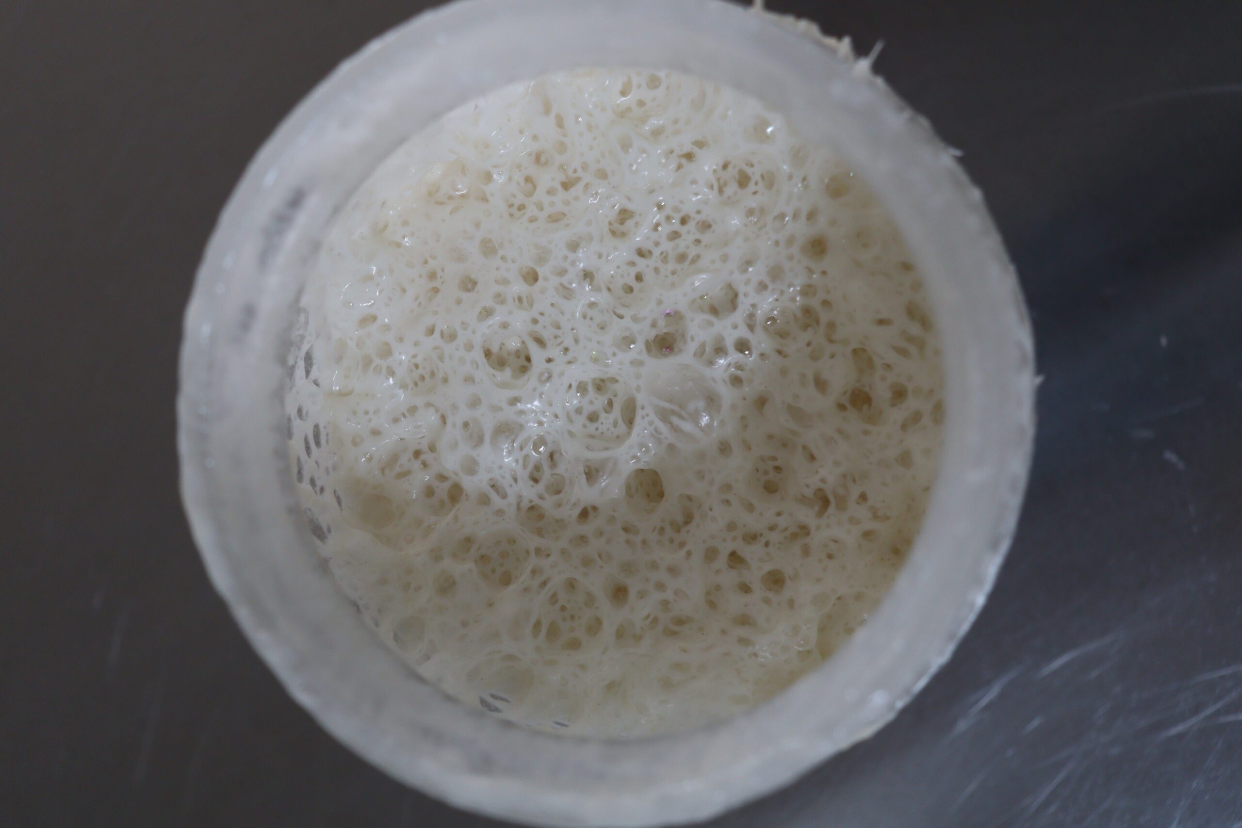 米麹天然酵母が元気かどうか、どうやって見分ける？