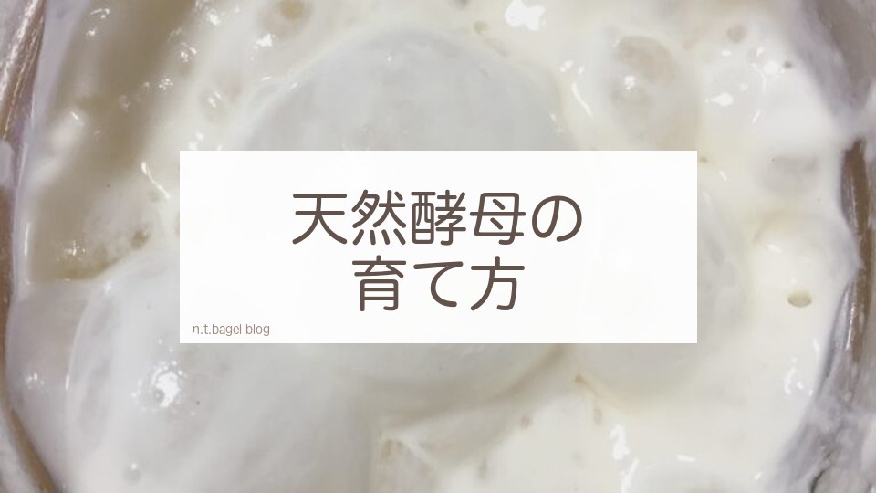 天然酵母の育て方